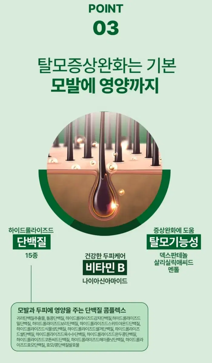 thumbnail-11